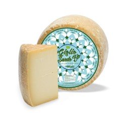 GIGLIO SARDO GIGLIO SARDO