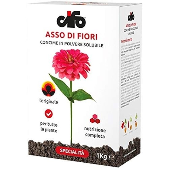 ASSO DI FIORI