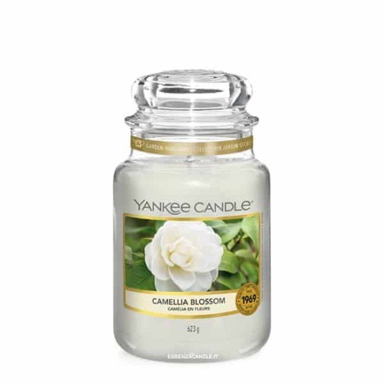 YANKEE CANDLE (GIARA GRANDE)-CAMELIA BLOSSOM